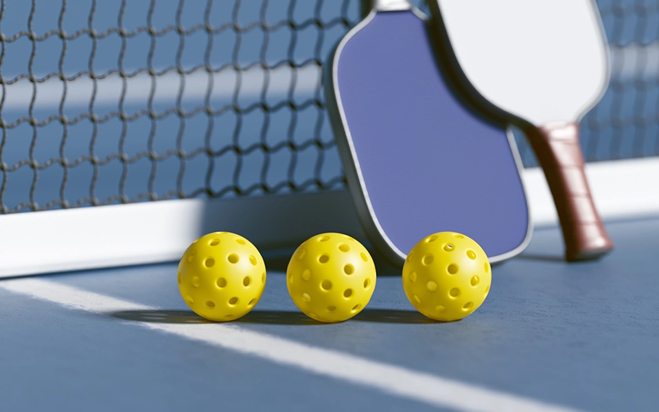 Pickleball Gear